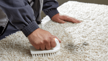 Professional Rug Cleaning Carrum Downs